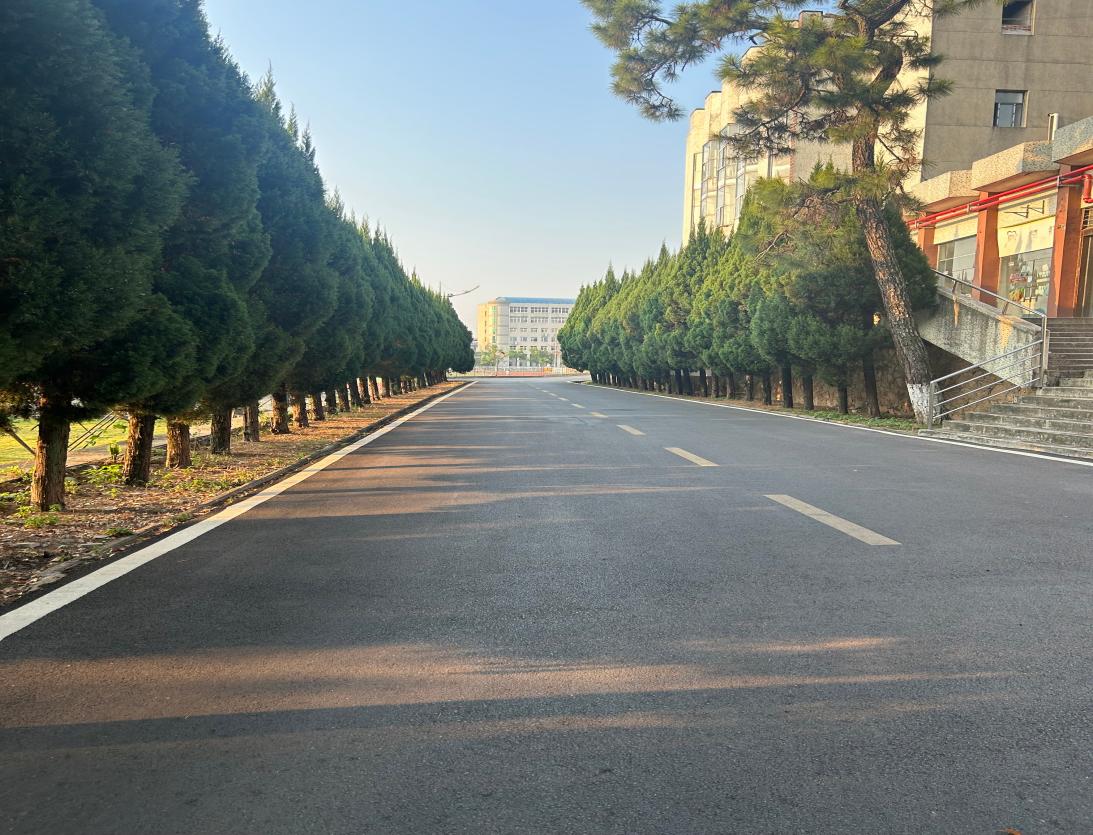 清晨的湖科